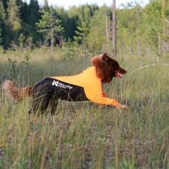 Non-stop dogwear Protector puku, urosmalli