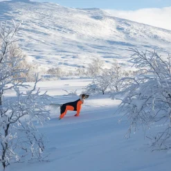 Non-Stop Protector Snow haalari, narttumalli