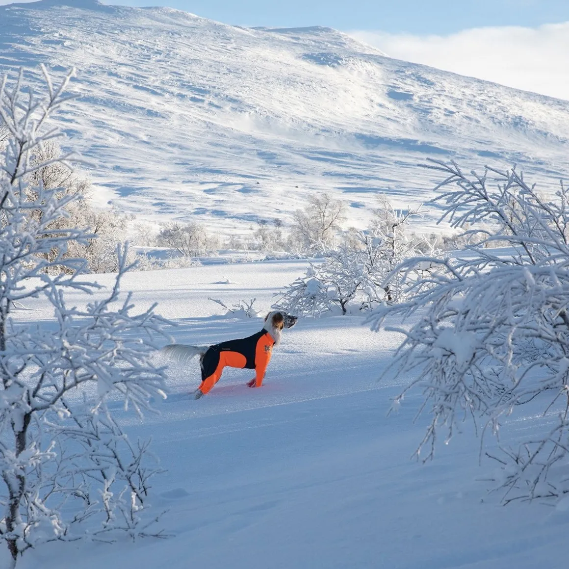 Non-Stop Protector Snow haalari, narttumalli