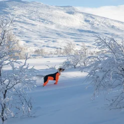 Non-Stop Protector Snow haalari, urosmalli