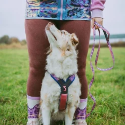 Non-stop Trail Quest Rachel Pohl talutushihna, 2m