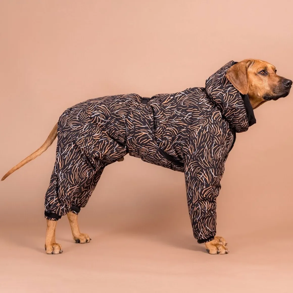 PAIKKA toppahaalari Winter Suit, coal