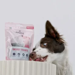 Petgood hyönteispohjainen koiranherkku pennuille 100 g