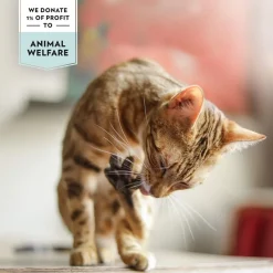 PrimaCat Tonnikalaa liemessä