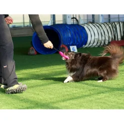 Pro Dog Bright patukka pehmeä, pinkki