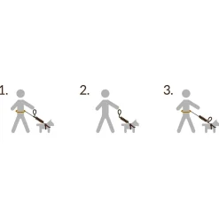 Pro Dog Handsfree setti