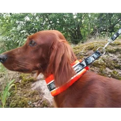 Puolikiristävä leveä panta Kardog Hilma, oranssi