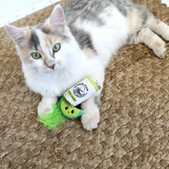 Quirky Kitty Hard Seltzpurr