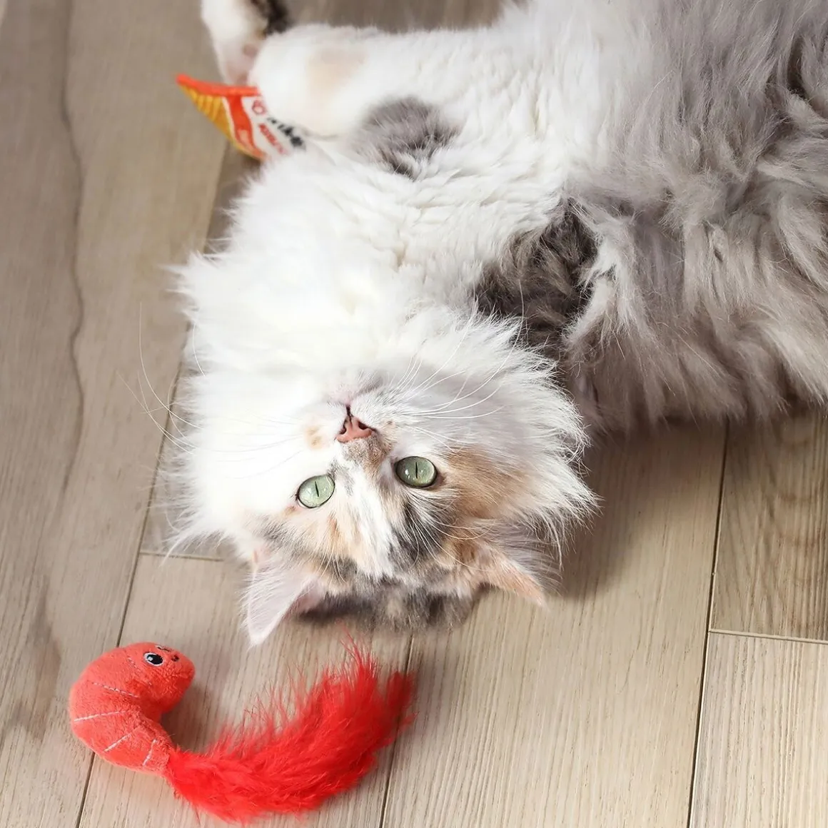 Quirky Kitty Ramen & Katkarapu 2 kpl