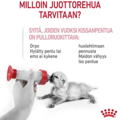 Royal Canin Babycat Milk, 300 g