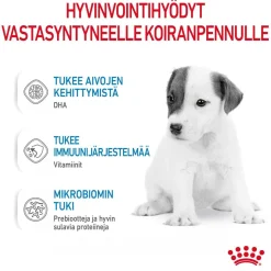 Royal Canin Babydog Milk