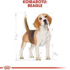 Royal Canin Beagle Adult 12 kg
