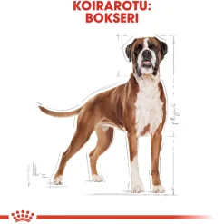 Royal Canin Boxer Adult 12 kg