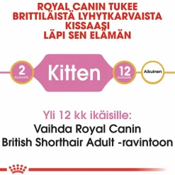 Royal Canin British Shorthair Kitten, 2 kg