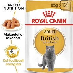 Royal Canin British Shorthair Wet 12 x 85g