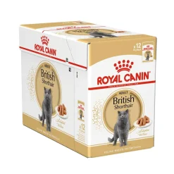 Royal Canin British Shorthair Wet 12 x 85g