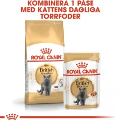 Royal Canin British Shorthair 85g, 48-pack