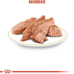 Royal Canin Chihuahua Wet 12x85g