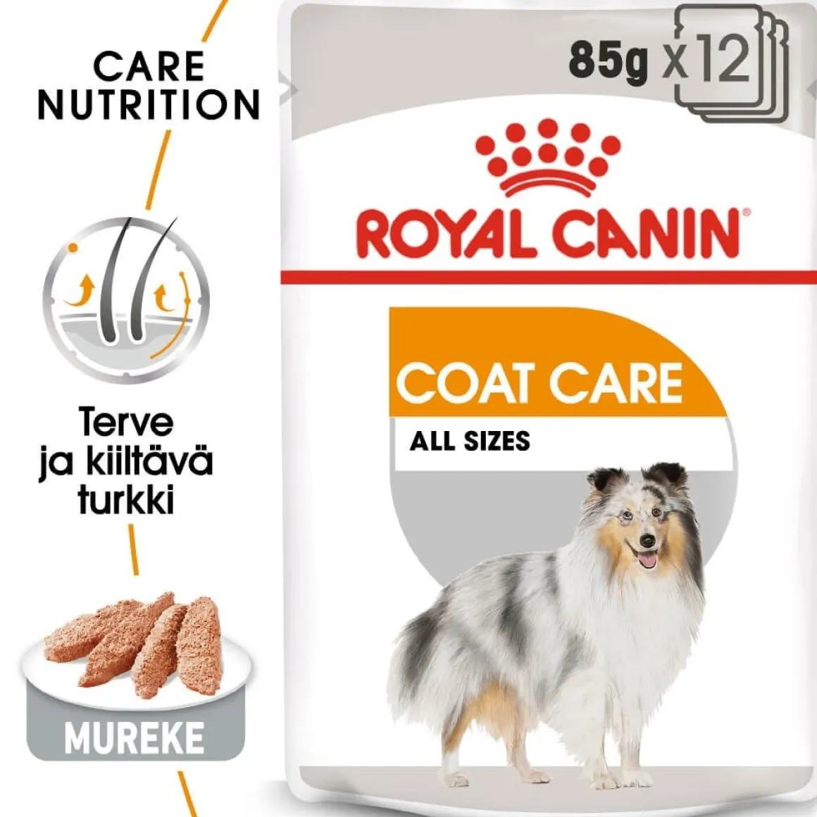 Royal Canin Coat Care wet 12 x 85 g