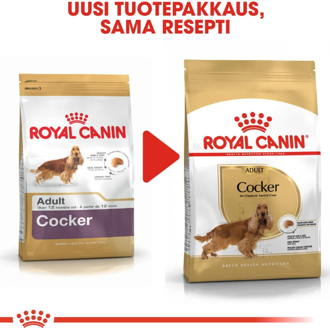 Royal Canin Cocker Adult