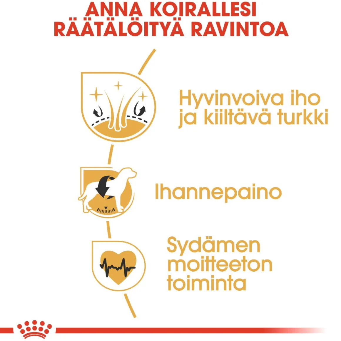 Royal Canin Cocker Adult