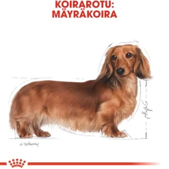 Royal Canin Dachshund Wet 12 x 85 g
