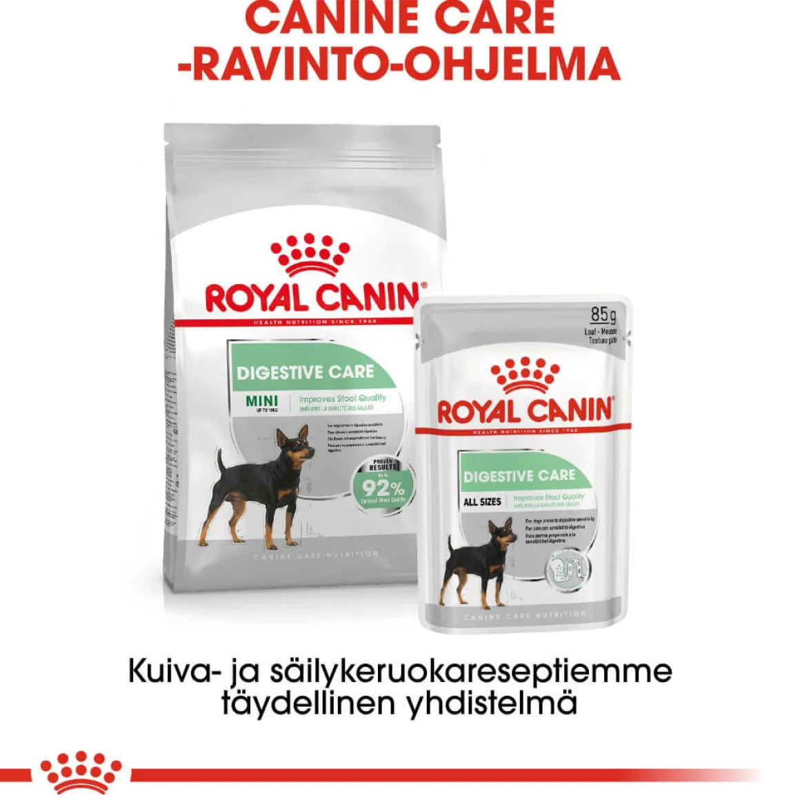 Royal Canin Digestive Care wet 12 x 85 g