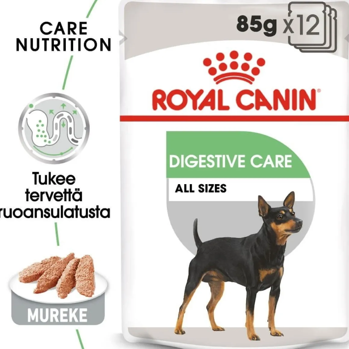 Royal Canin Digestive Care wet 12 x 85 g