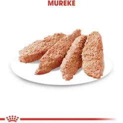 Royal Canin Exigent wet 12 x 85 g