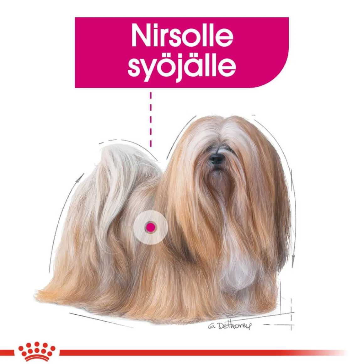 Royal Canin Exigent wet 12 x 85 g
