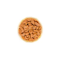 Royal Canin FHN Ageing 11+ kastikeessa 12 x 85 g