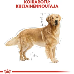 Royal Canin Golden Retriever Adult 12 kg