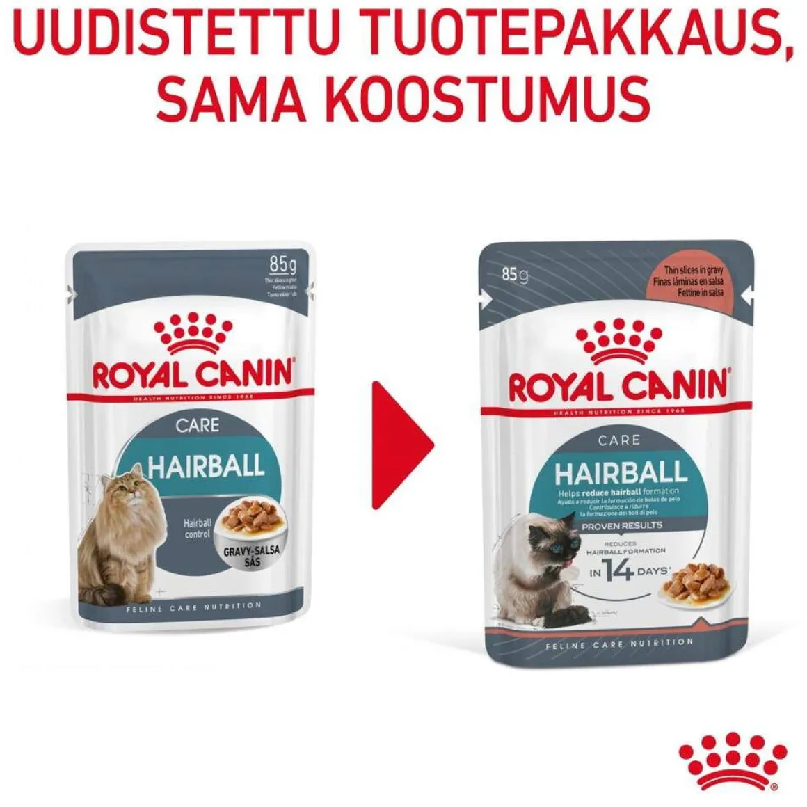 Royal Canin Hairball Care Gravy 85g, 48-pack