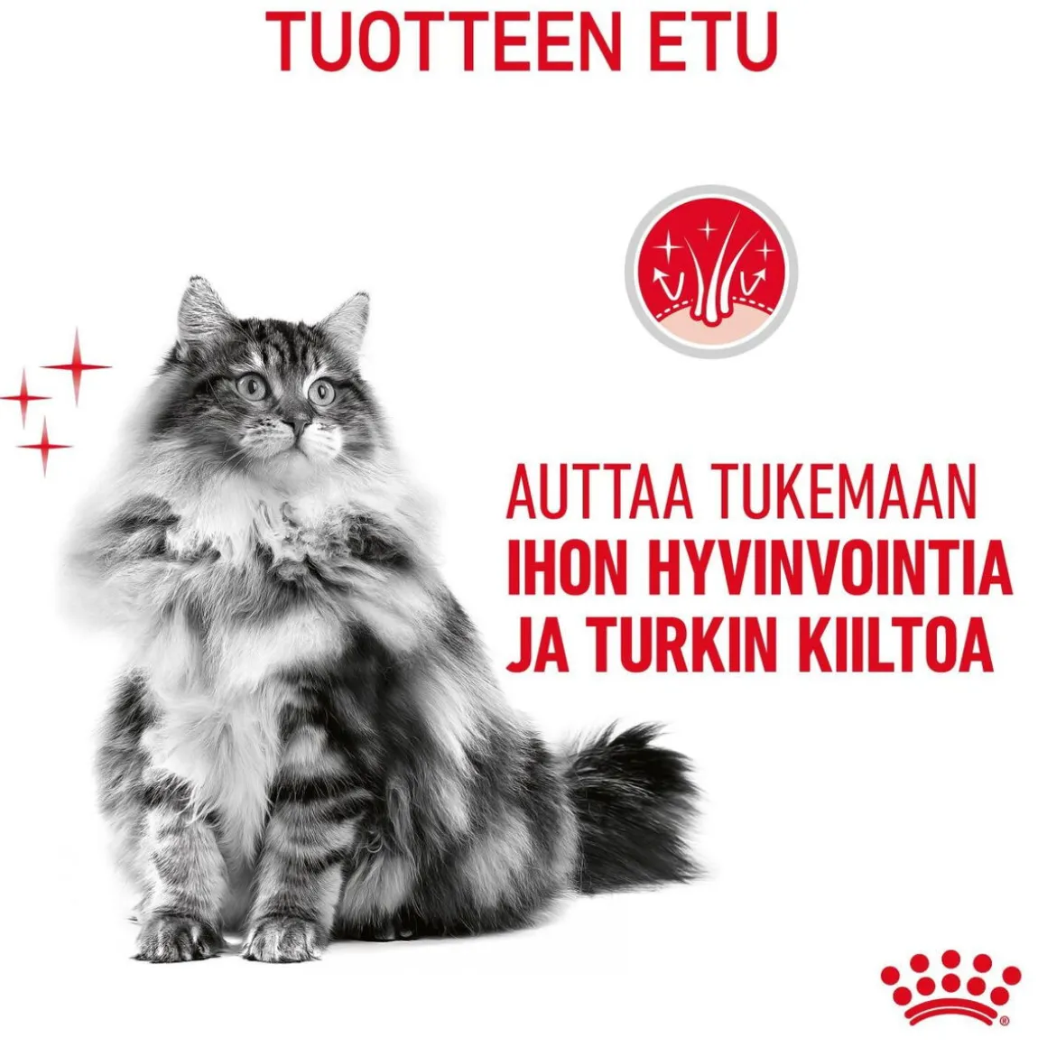 Royal Canin Hair & Skin Care