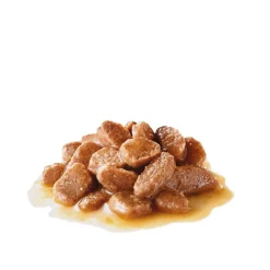 Royal Canin Hair & Skin Care Gravy 85g, 48-pack