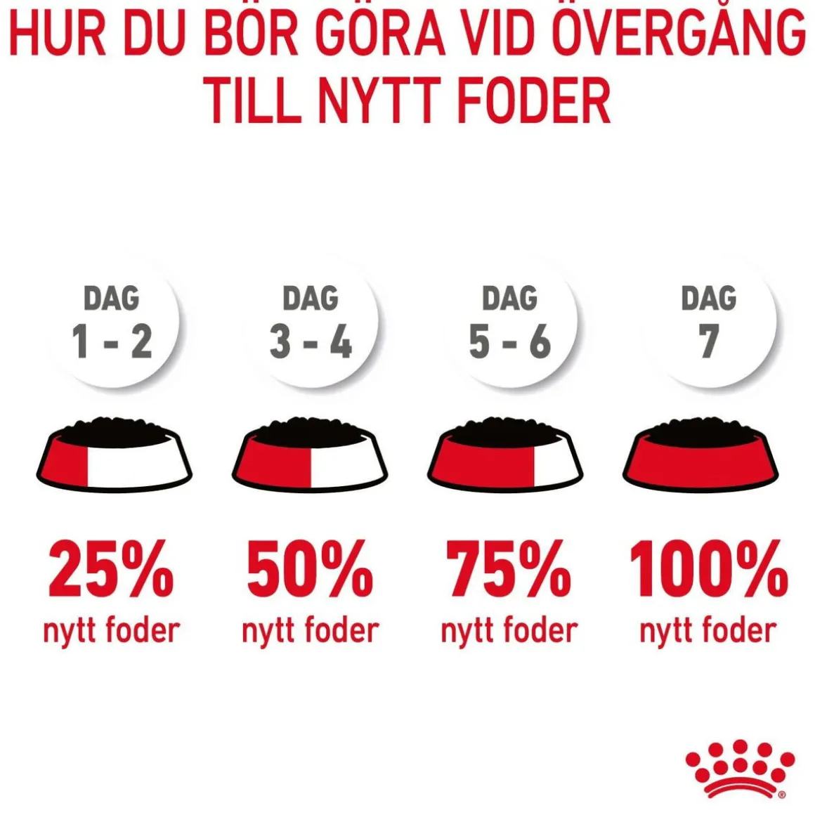 Royal Canin Hair & Skin Care Jelly 85g, 48-pack