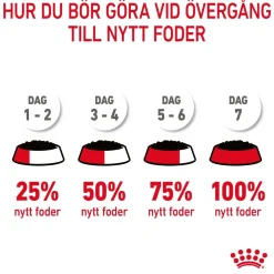 Royal Canin Hair & Skin Care Jelly 85g, 48-pack