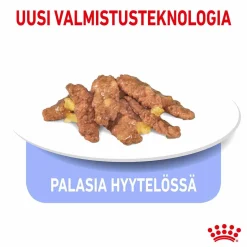 Royal Canin Indoor Jelly 12 x 85 g