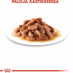 Royal Canin Kitten Gravy 85g, 48-pack