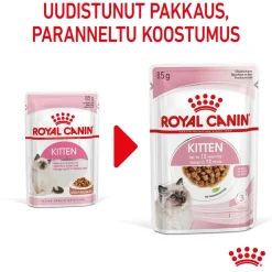 Royal Canin Kitten Gravy 85g, 48-pack