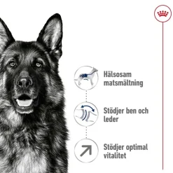 Royal Canin Maxi Adult 5+ 2 x 15kg