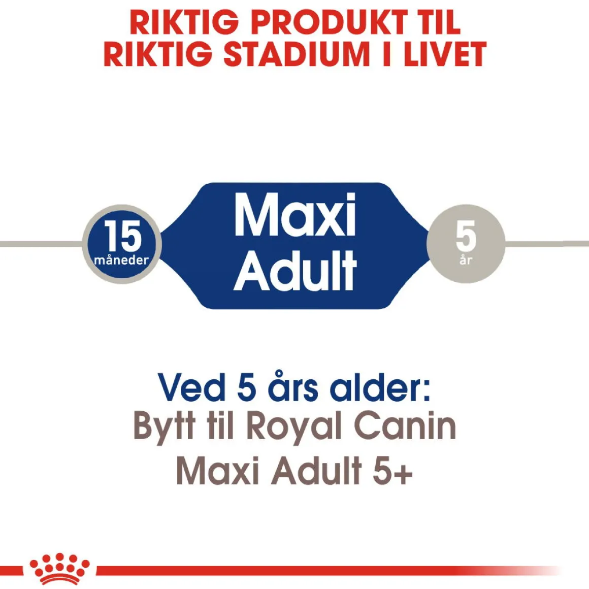 Royal Canin Maxi Adult 2 x 15 kg