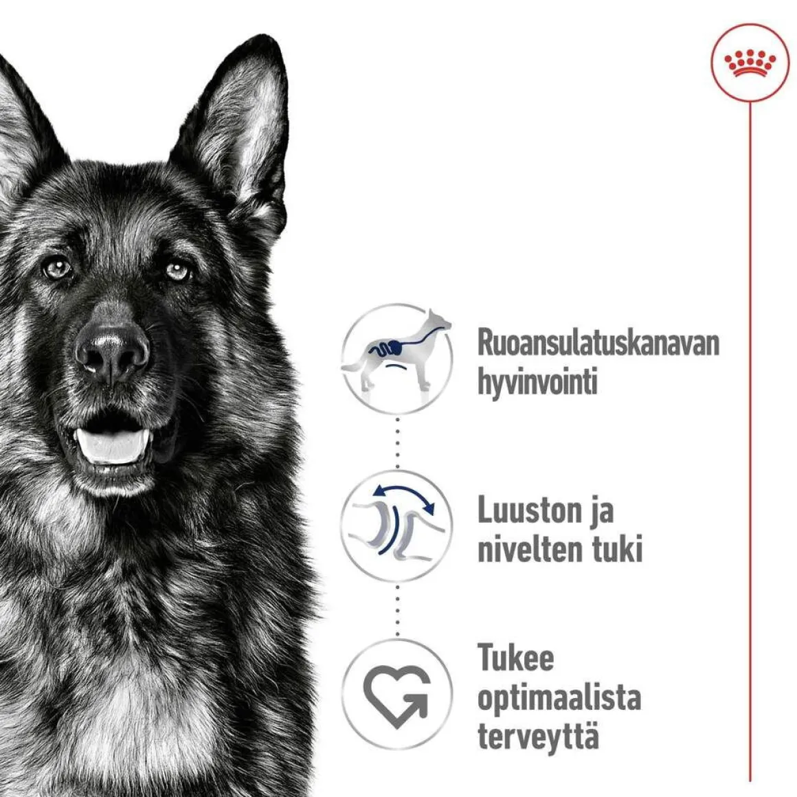 Royal Canin Maxi Adult 2 x 15 kg