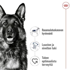 Royal Canin Maxi Adult 2 x 15 kg