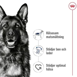 Royal Canin Maxi Adult 2 x 15 kg