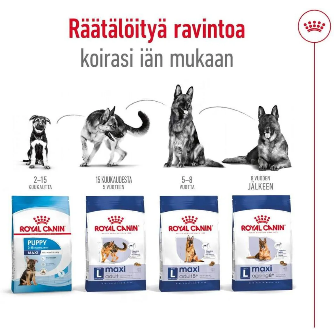 Royal Canin Maxi Adult 2 x 15 kg