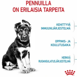 Royal Canin Maxi Puppy