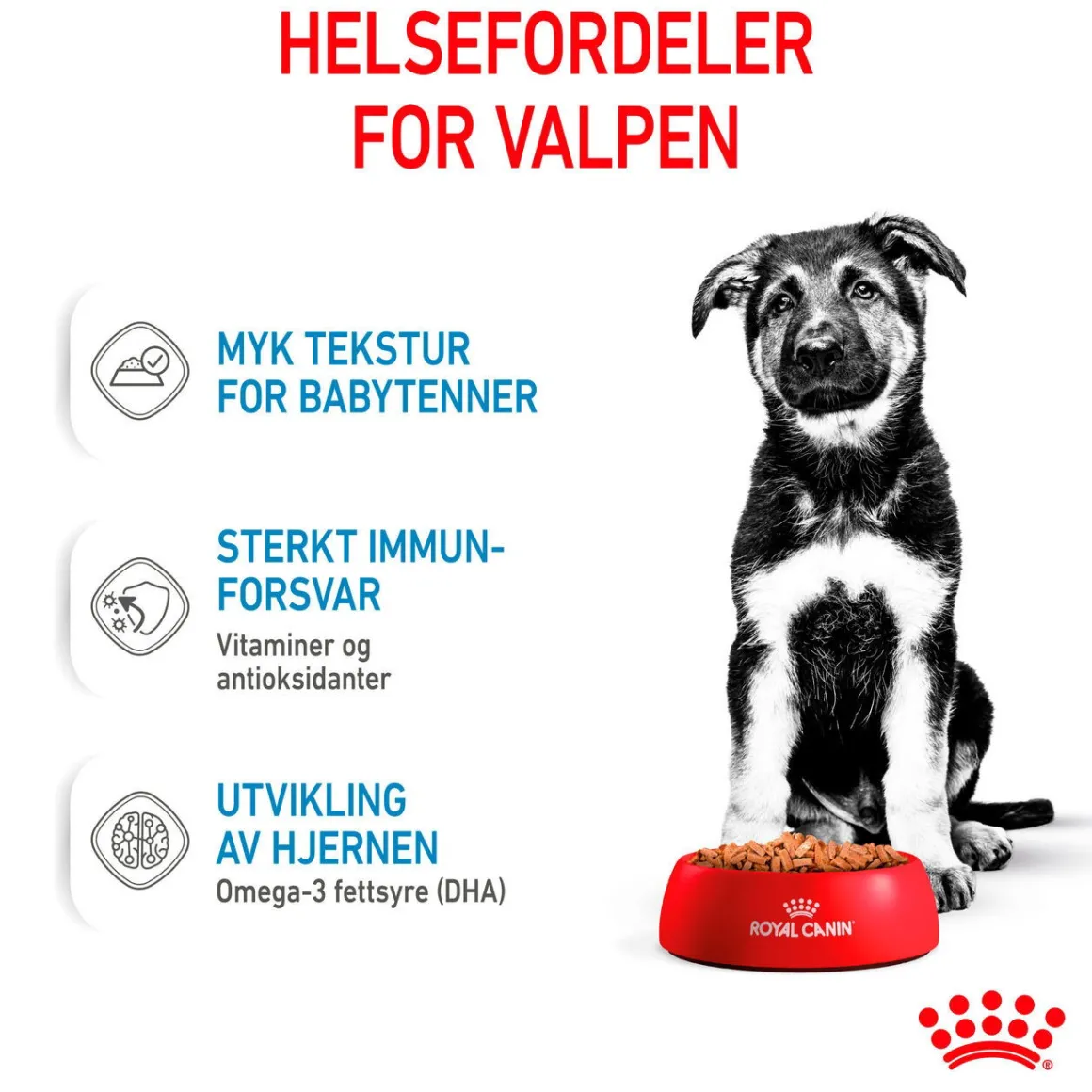 Royal Canin Maxi Puppy 40x140 g