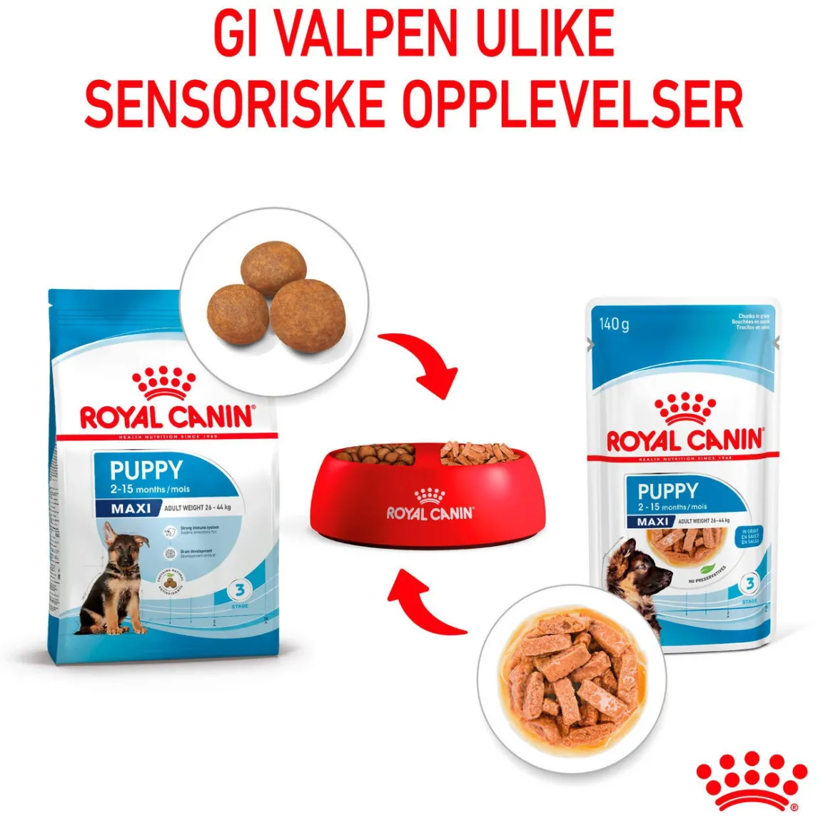 Royal Canin Maxi Puppy 40x140 g