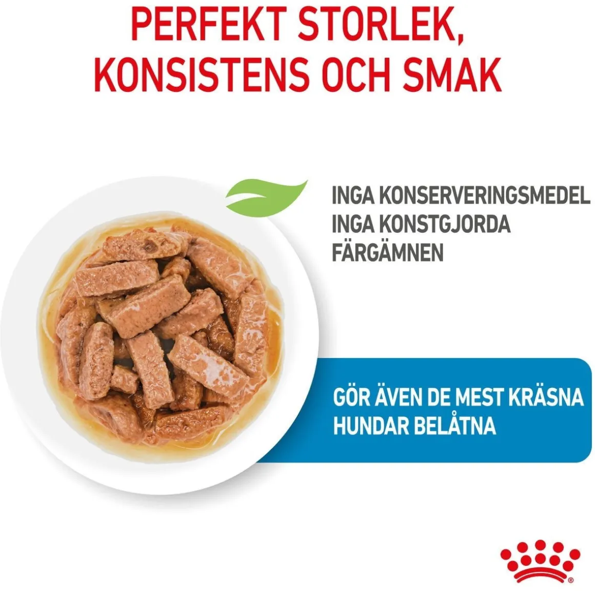 Royal Canin Maxi Puppy 40x140 g